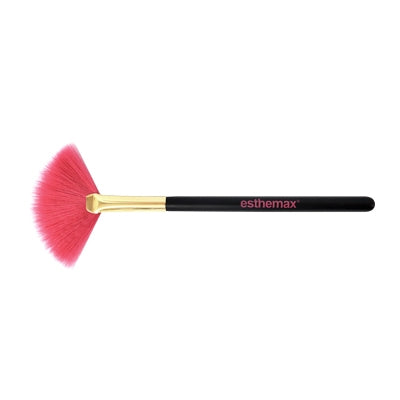 Fan Brush
